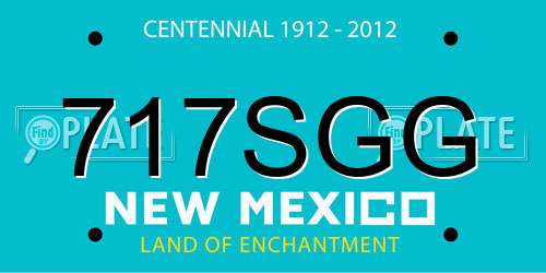 717SGG New Mexico License Plate