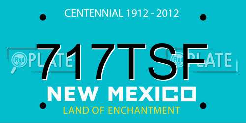 717TSF New Mexico License Plate