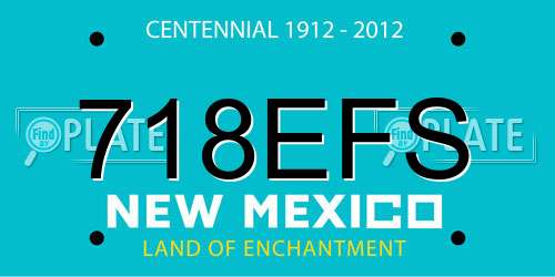 718EFS New Mexico License Plate