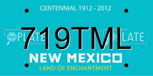 719TML New Mexico License Plate