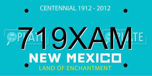 719XAM New Mexico License Plate