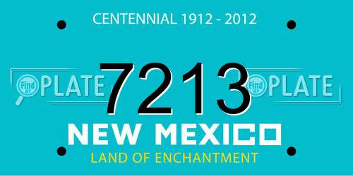 7213 New Mexico License Plate