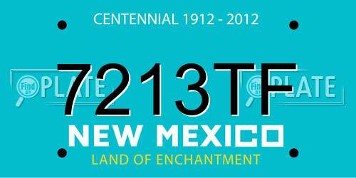 7213TF New Mexico License Plate