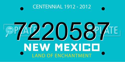 7220587 New Mexico License Plate
