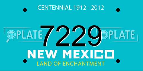 7229 New Mexico License Plate