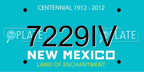 7229IV New Mexico License Plate