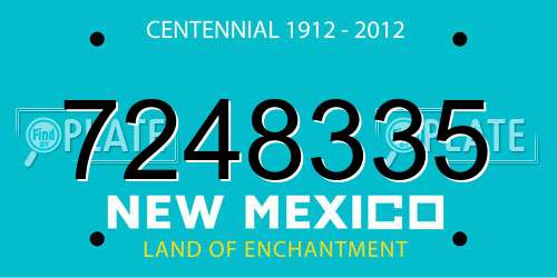 7248335 New Mexico License Plate