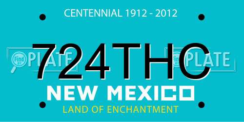 724THC New Mexico License Plate