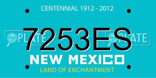 7253ES New Mexico License Plate