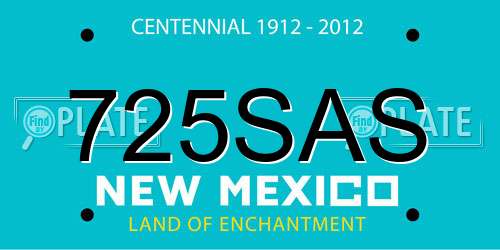 725SAS New Mexico License Plate