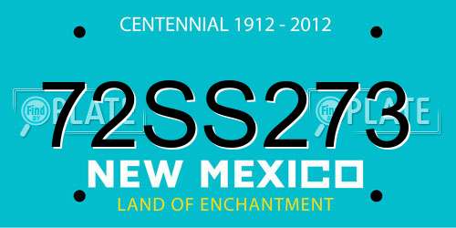 72SS273 New Mexico License Plate