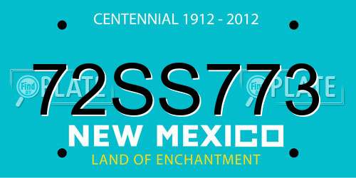 72SS773 New Mexico License Plate