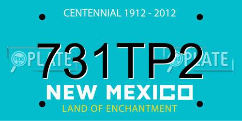 731TP2 New Mexico License Plate
