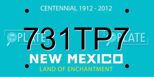 731TP7 New Mexico License Plate
