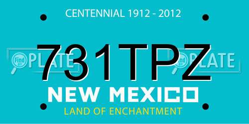 731TPZ New Mexico License Plate