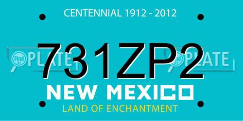 731ZP2 New Mexico License Plate
