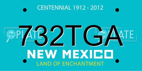 732TGA New Mexico License Plate