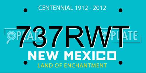 737RWT New Mexico License Plate