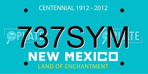 737SYM New Mexico License Plate