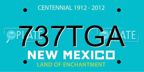 737TGA New Mexico License Plate