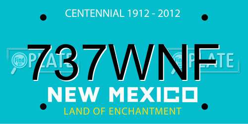 737WNF New Mexico License Plate