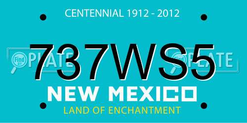 737WS5 New Mexico License Plate