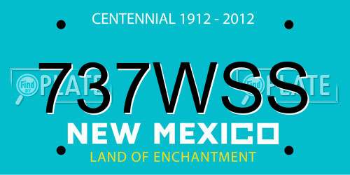 737WSS New Mexico License Plate