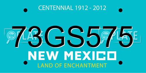 73GS575 New Mexico License Plate