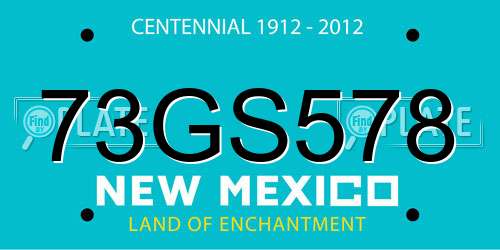 73GS578 New Mexico License Plate