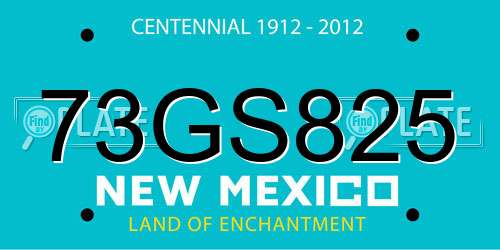 73GS825 New Mexico License Plate