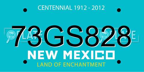 73GS828 New Mexico License Plate