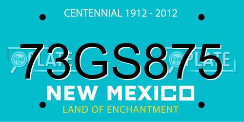 73GS875 New Mexico License Plate