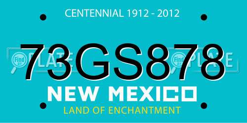 73GS878 New Mexico License Plate