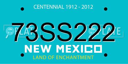 73SS222 New Mexico License Plate