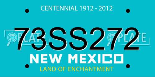 73SS272 New Mexico License Plate