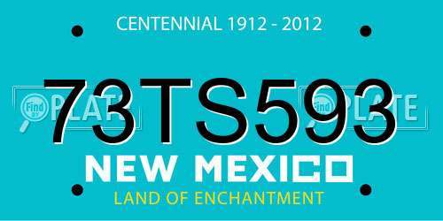 73TS593 New Mexico License Plate