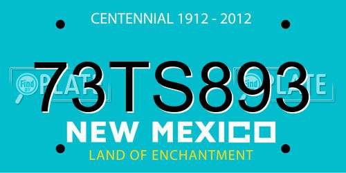 73TS893 New Mexico License Plate
