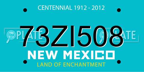 73ZI508 New Mexico License Plate
