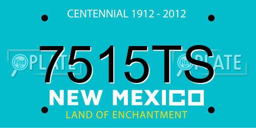 7515TS New Mexico License Plate