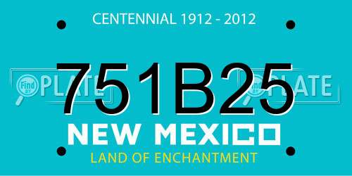 751B25 New Mexico License Plate