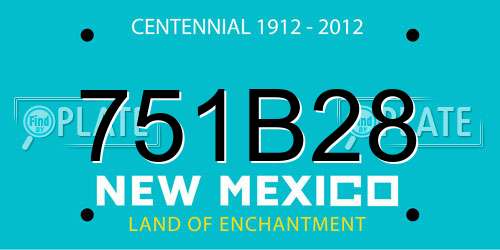 751B28 New Mexico License Plate