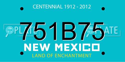 751B75 New Mexico License Plate