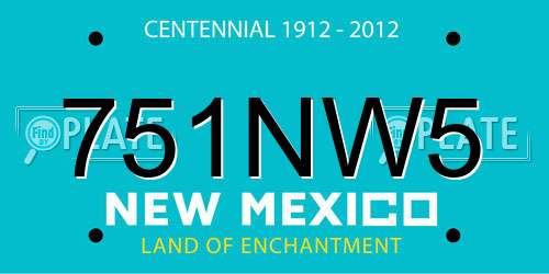 751NW5 New Mexico License Plate