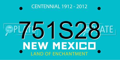 751S28 New Mexico License Plate