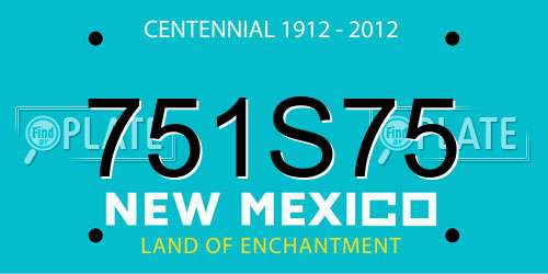 751S75 New Mexico License Plate