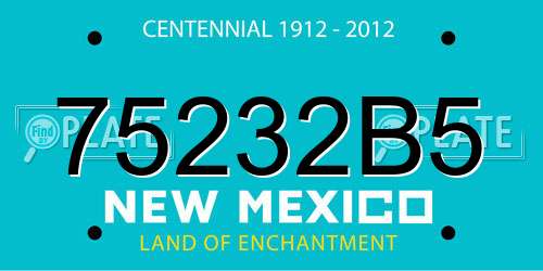 75232B5 New Mexico License Plate