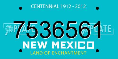 7536561 New Mexico License Plate