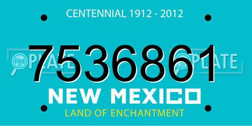 7536861 New Mexico License Plate