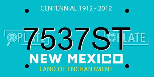 7537ST New Mexico License Plate
