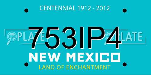 753IP4 New Mexico License Plate